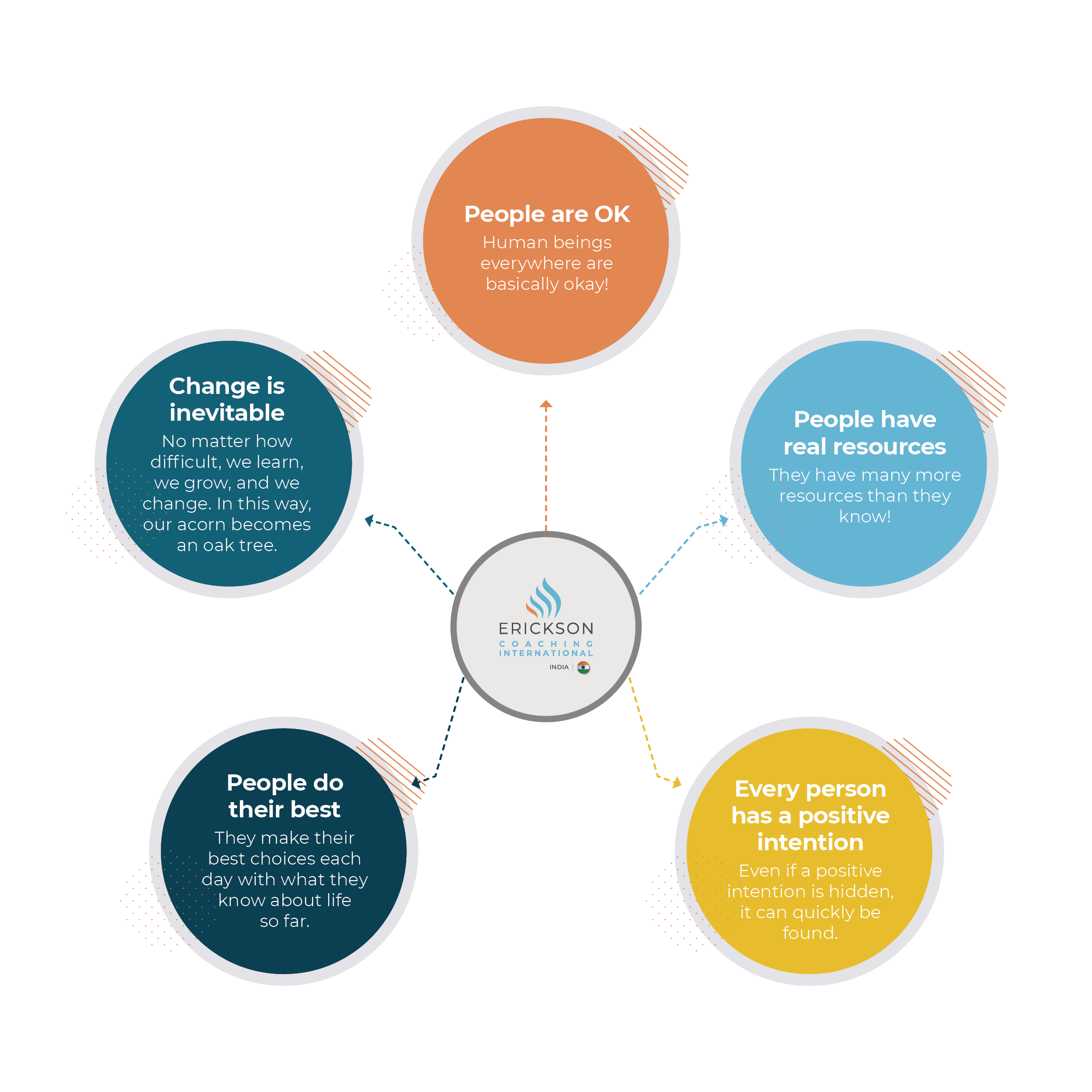 Erickson's Five Principles Infographic
